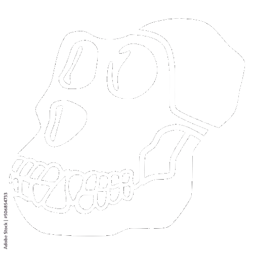 Ape